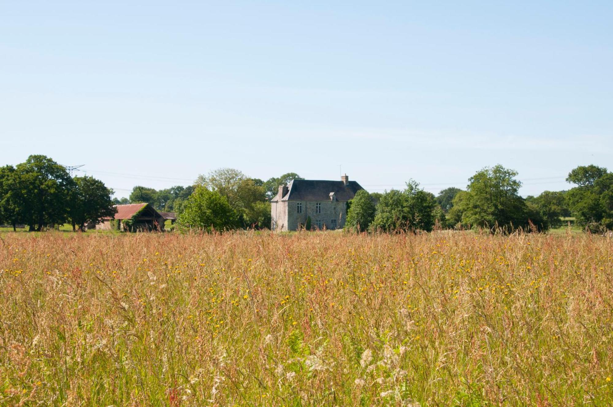 La Maison Des Tilleuls Saint-Germain-Sur-Seves Eksteriør billede
